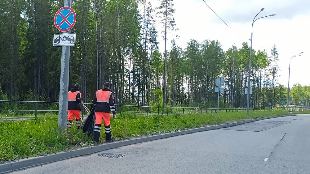 Мэр петрозаводска попал в дтп