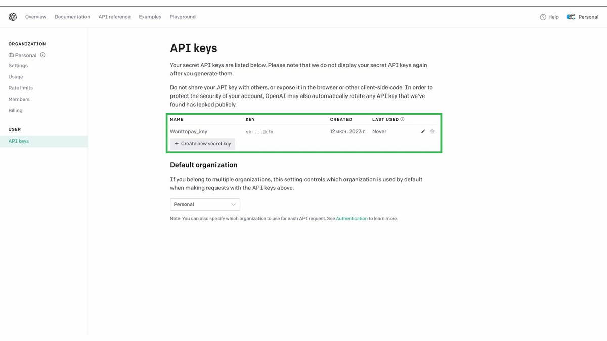 Get openai api