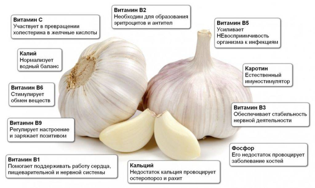 Вареный чеснок польза. Чем полезен чеснок. Полезные свойства чеснока. Чем полезен чеснок для организма. Полезен чеснок для.организма.