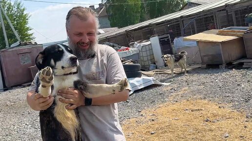 Один с простреленным позвоночником. Второй - спинальник дворняга из Абхазии. Везём их к доктору!