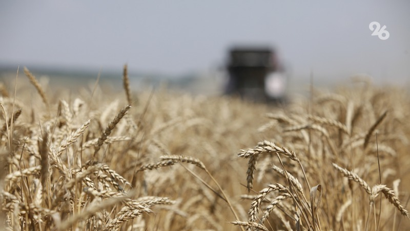 Фото: ИА «Победа26»