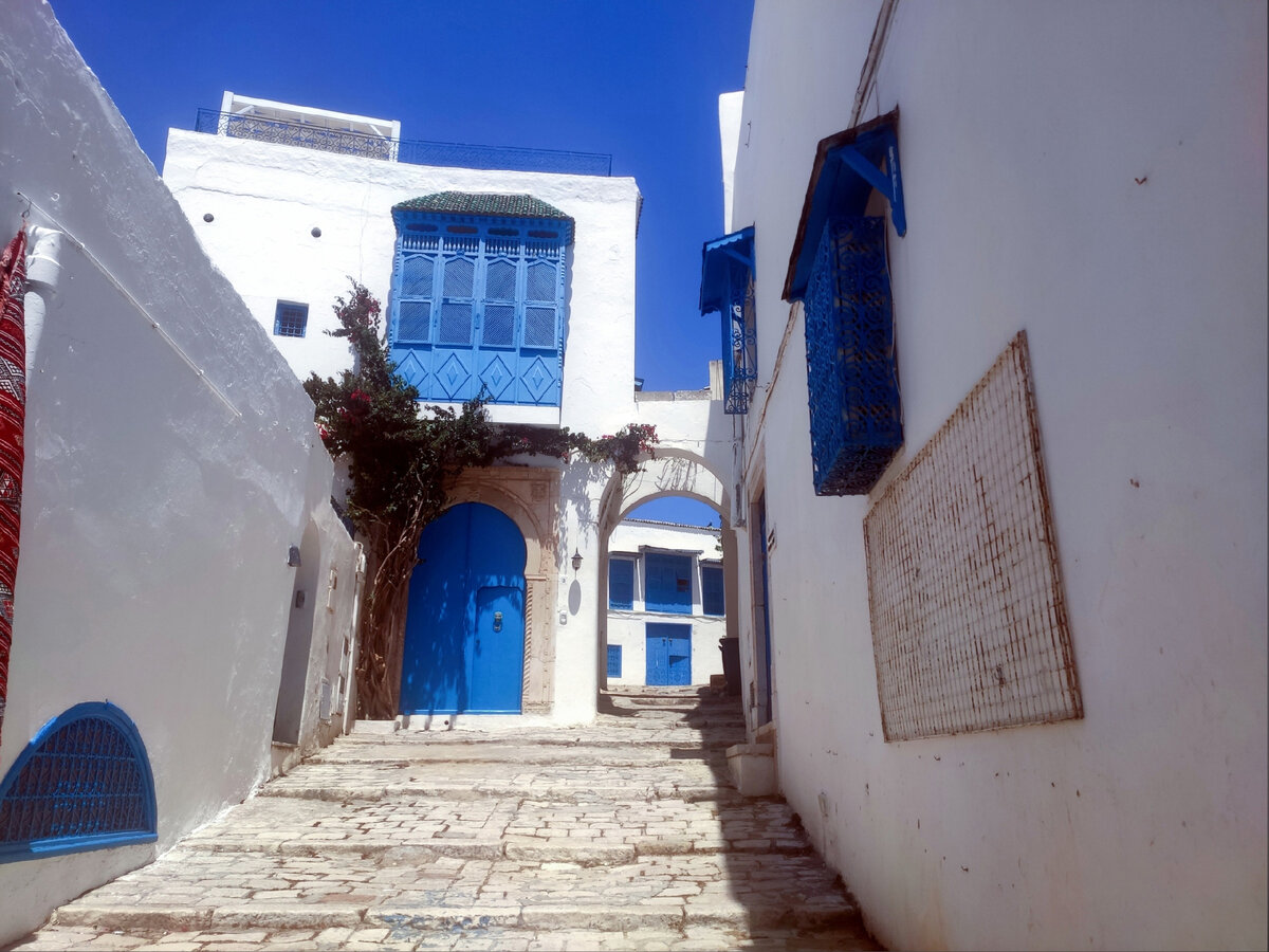 город хаммамет в тунисе