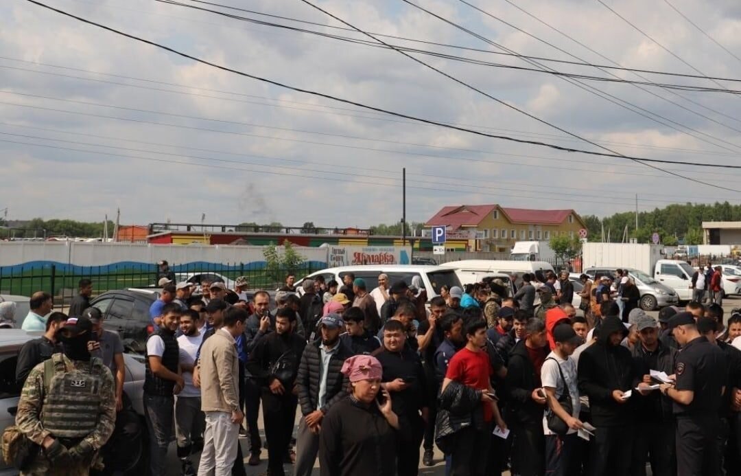 преступность мигрантов 2023