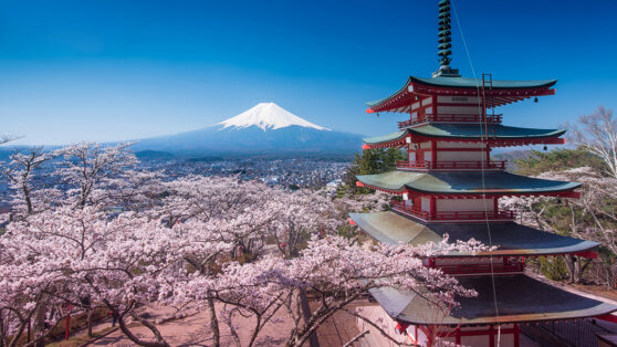    В Японии будут относиться к секс-меньшинствам с большей толерантностью Игорь Серебряный