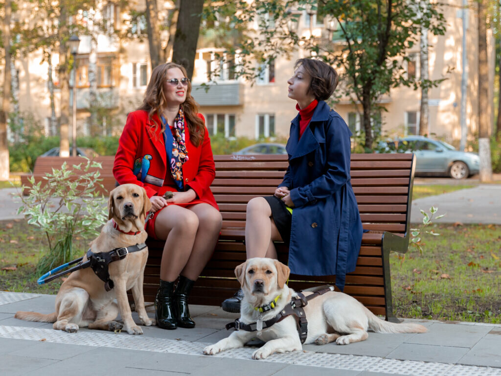 Пес дела. Собаки помощники. Стаффорд собака поводырь. Собаки занимаются человеческими делами — новая работа в midjourney. Собака защищает.