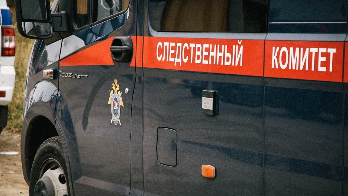     15 июня в лесу у села Юсьва нашли тело женщины. Следователи Кудымкарского следственного отдела обнаружили на нем травмы, указывающие на убийство, и возбудили уголовное дело по этой статье.