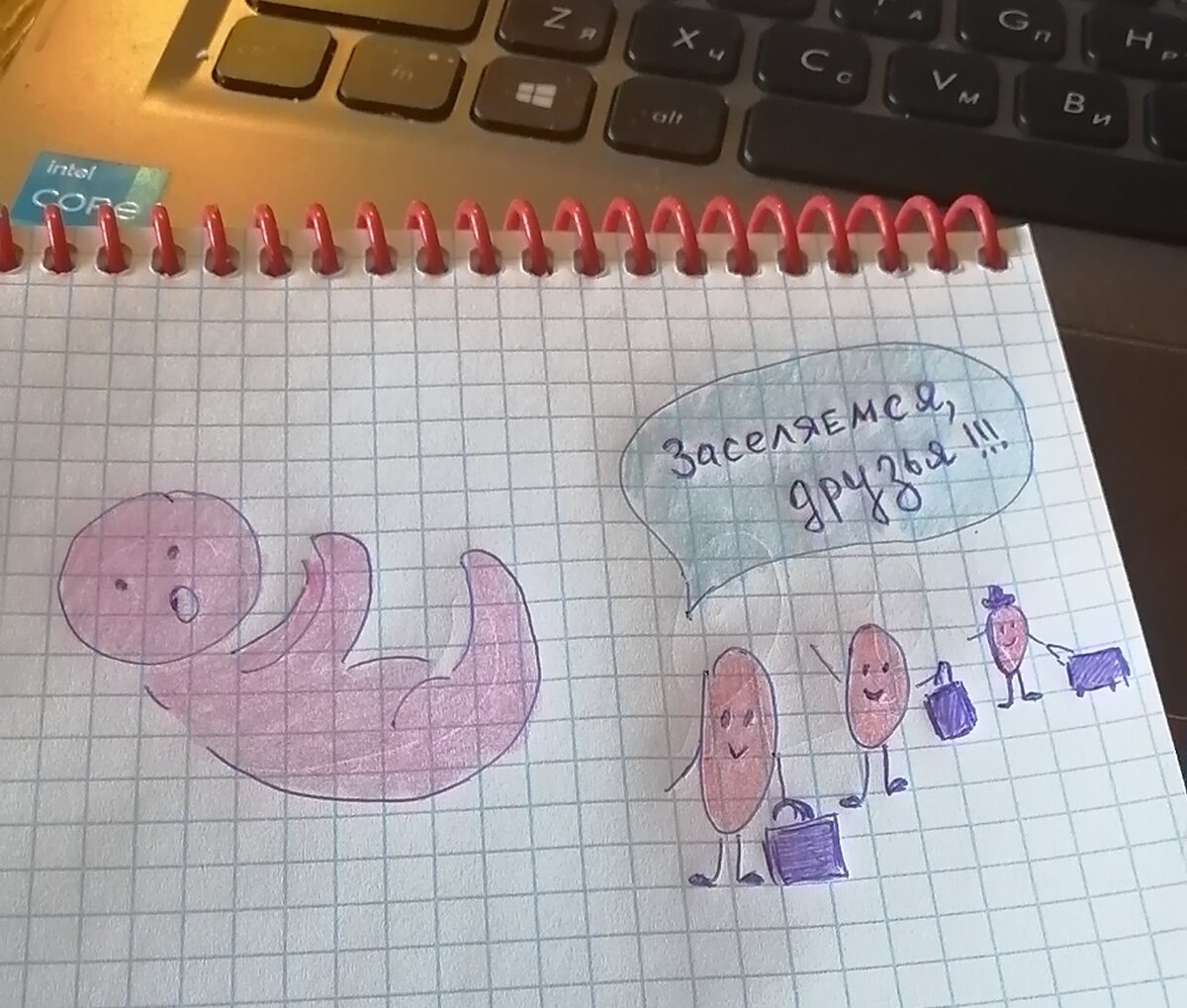 Слева - младенец, а справа бактерии, если что.