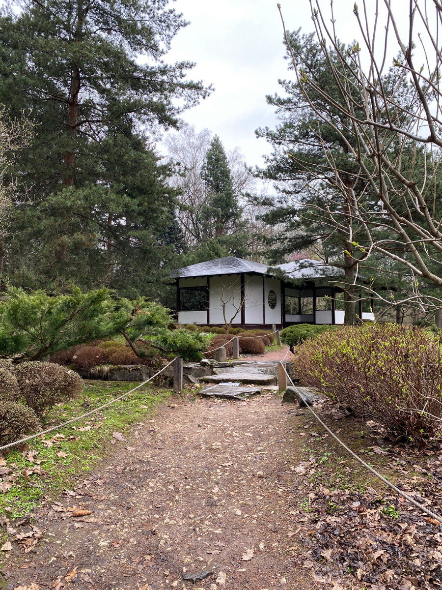 Фото автора. Беседка для чайной церемонии в японском саду в Москве 
