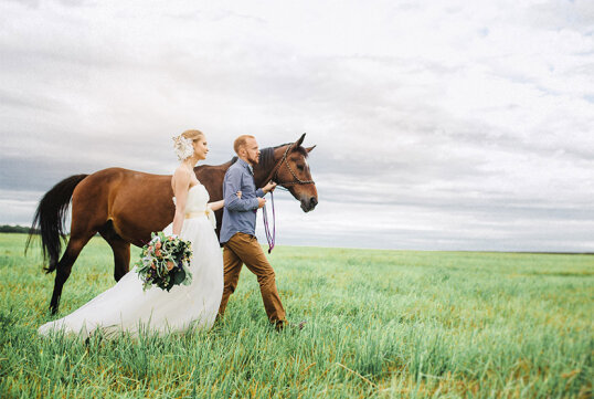 Фото: NIKITA SHIROKOV, Unsplash