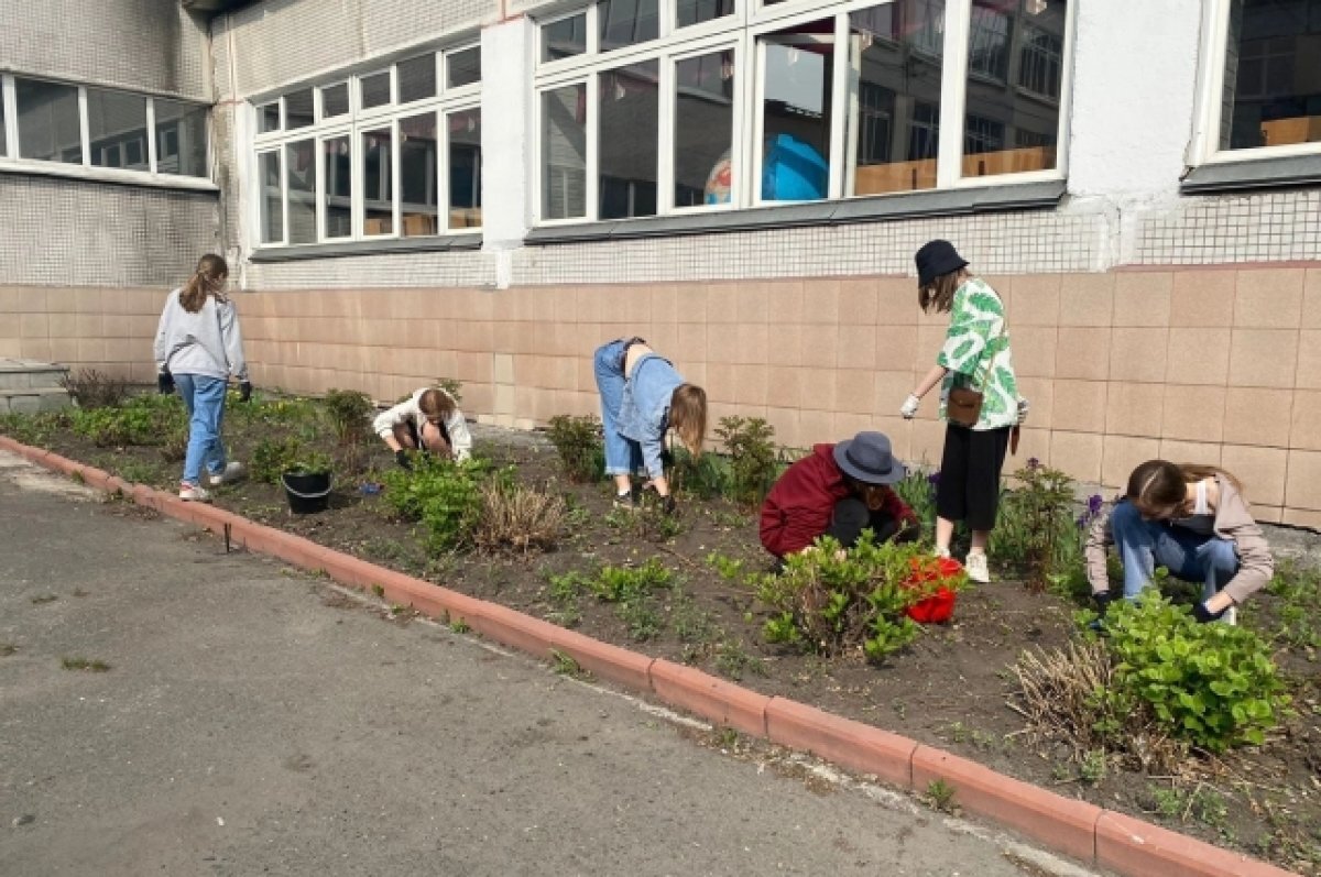    Некоторые дети приучены к труду со школы.