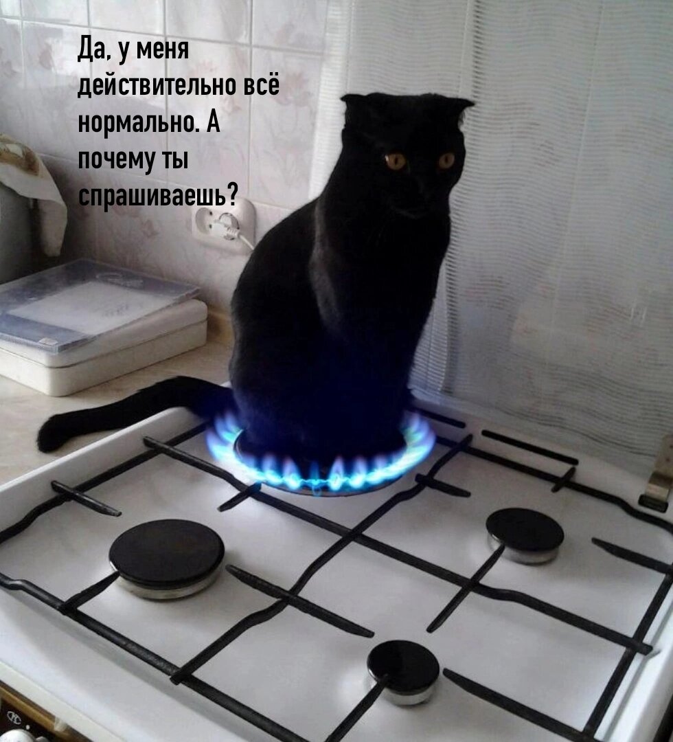 Если вы не подписаны - в мире грустит один котик😿