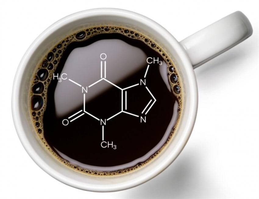 Что такое кофеин. Химия кофе. Пищевая ценность кофе. Состав кофе. Химический состав кофе.