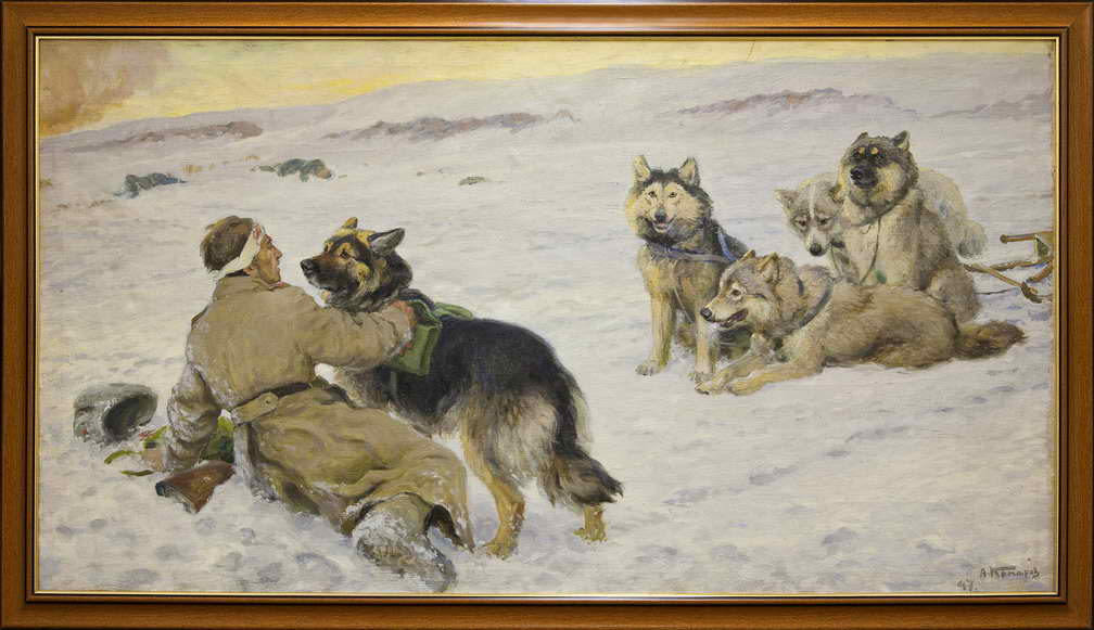 Собаки-санитары