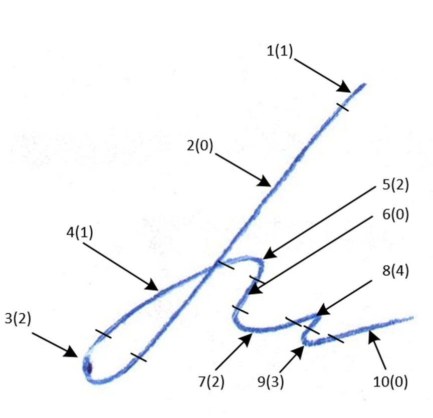 Рис.1 Пример подписи