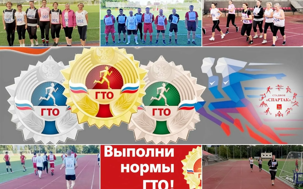 Лица, успешно сдавшие нормативы ГТО, награждаются золотым, серебряным или бронзовым знаком отличия.