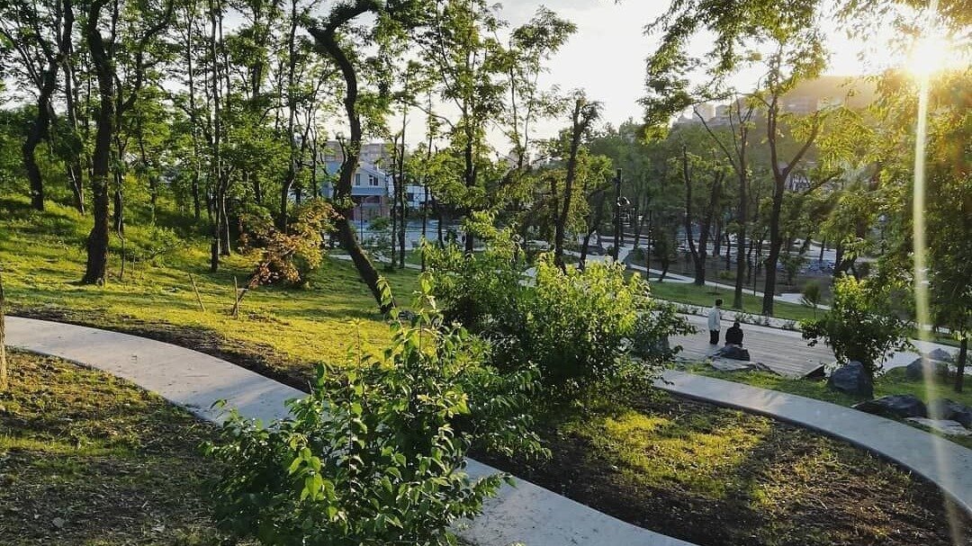     Мэр Владивостока Константин Шестаков рассказал о дальнейшем благоустройстве Нагорного парка. Помимо новых пешеходных маршрутов и зон отдыха здесь появится Центр образования и ремесла.