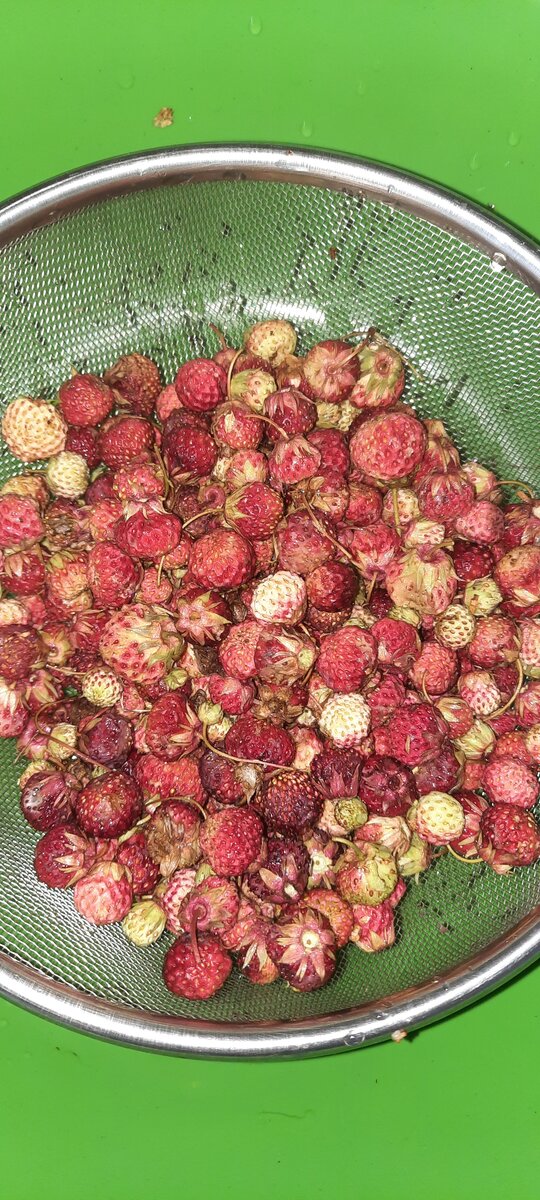 Zтарушня zапоdляк саныча. Zтарушня zапоdляк саныча. Zтарушня zапоdляк саныча. Zтарушня zапоdляк саныча. Zтарушня zапоdляк саныча.