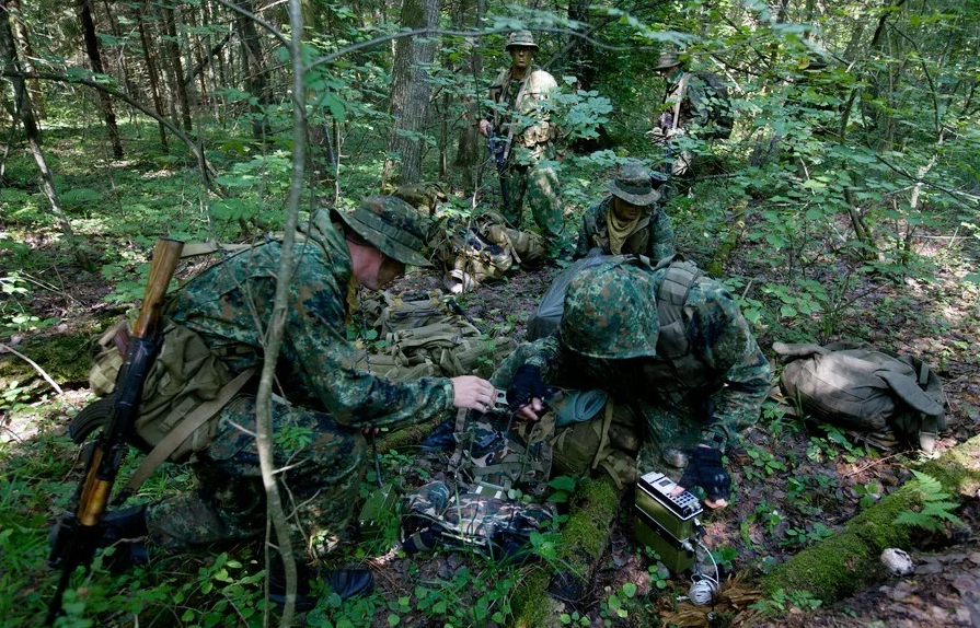 Пограничники участники сво. Развед группа. Спецназ гру разведка в лесу. Военные в лесу. Военные в лесу Россия.
