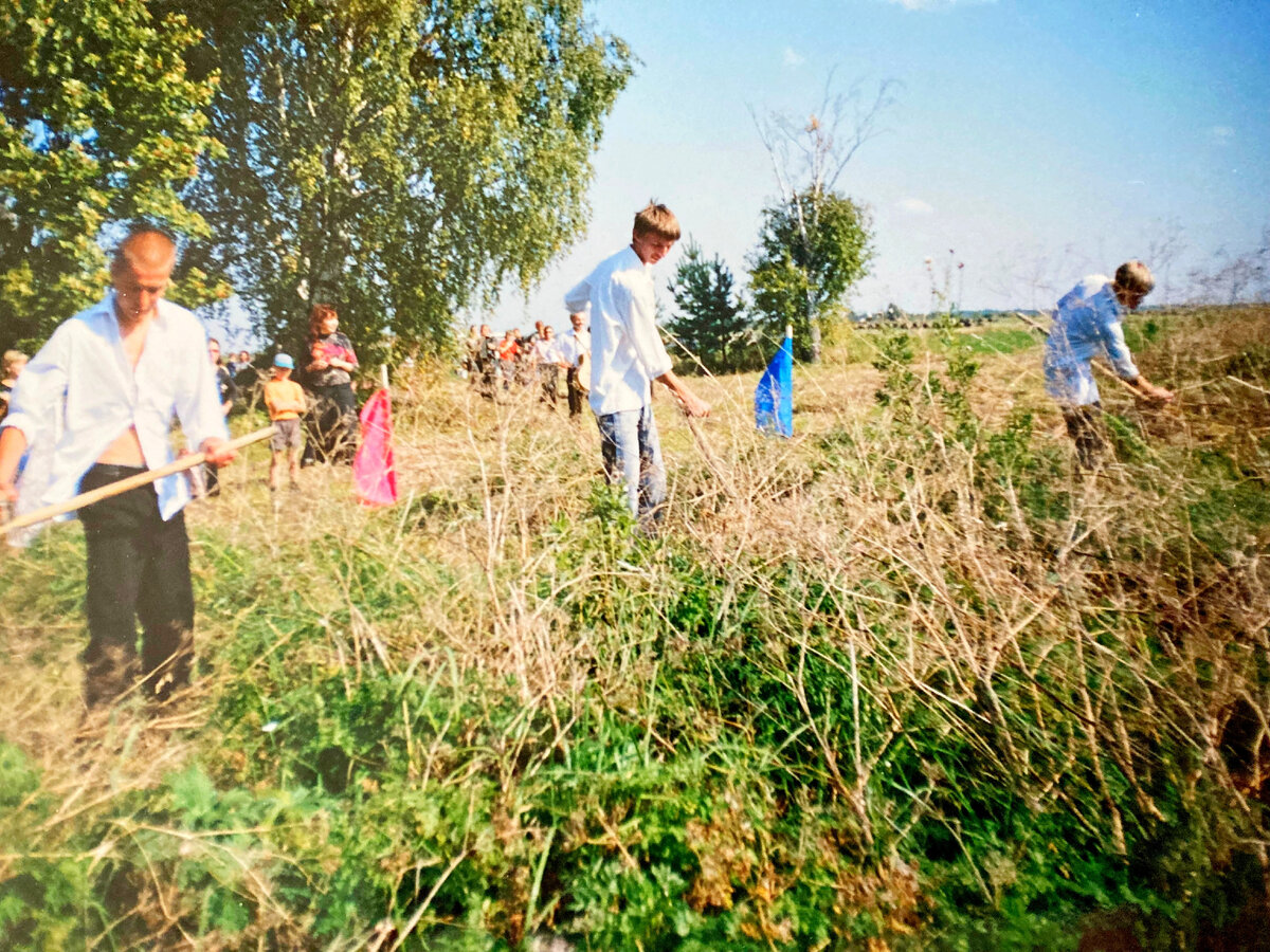 Вологодская область. Сокольский район. За селом Архангельское -  покос