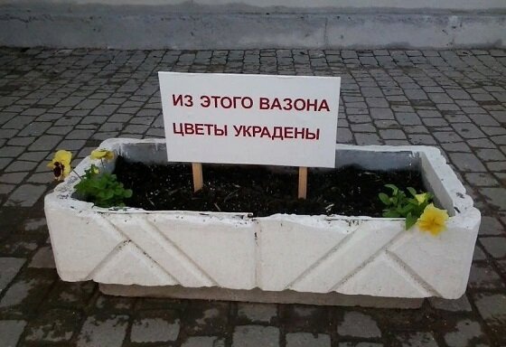 Ценители прекрасного повсюду.  