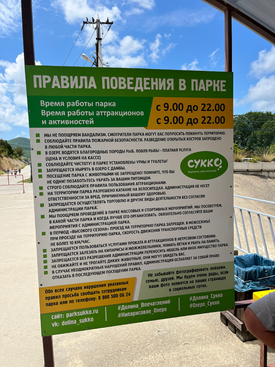 Долина Сукко в 2023 году Кипарисовое озеро в Анапе где в воде растут 32  болотных кипариса ожидание реальность | Mihi_lifestyles | Дзен