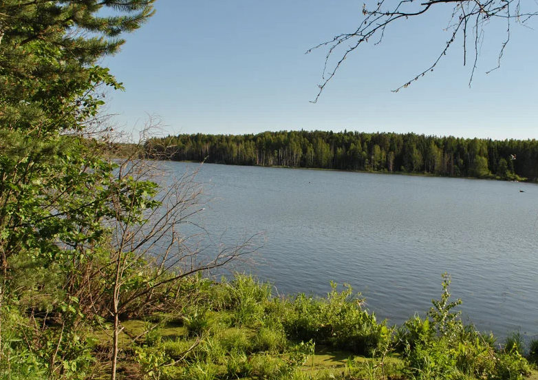 Собственно озеро