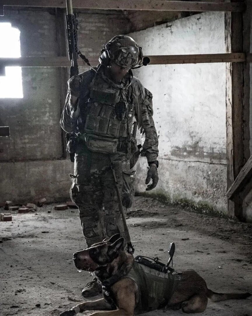 Combat Assault Dogs (CAD), боевые штурмовые собаки JGK используются, в том числе, для повышения безопасности личного состава в связи с выполнением боевых задач. Используются только собаки породы малинуа, которые и легче, и подвижнее, и выносливее, чем, например, немецкие овчарки.