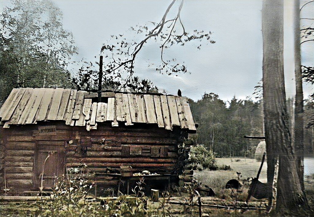 Геологическая изба под присмотром сокола, Мокруша, 1967г.