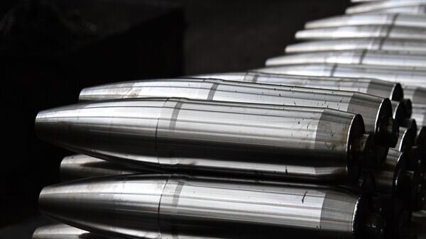    © РИА Новости . Михаил Воскресенский