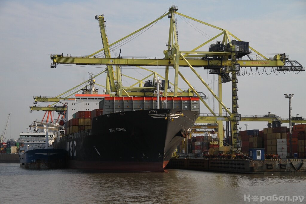 Морской порт Санкт-Петербург / Фото: Корабел.ру  📷
