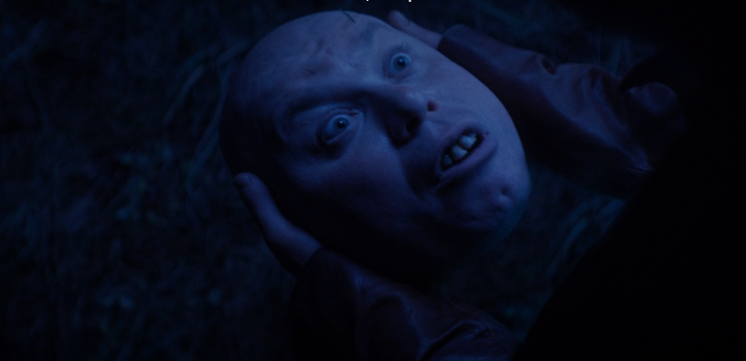 Фото взято из открытых источников