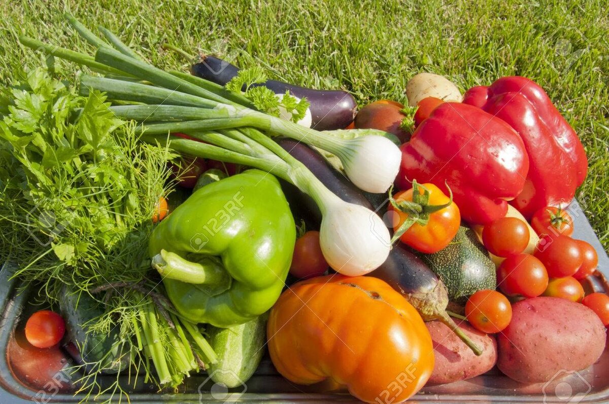 Овощи и фрукты с огорода