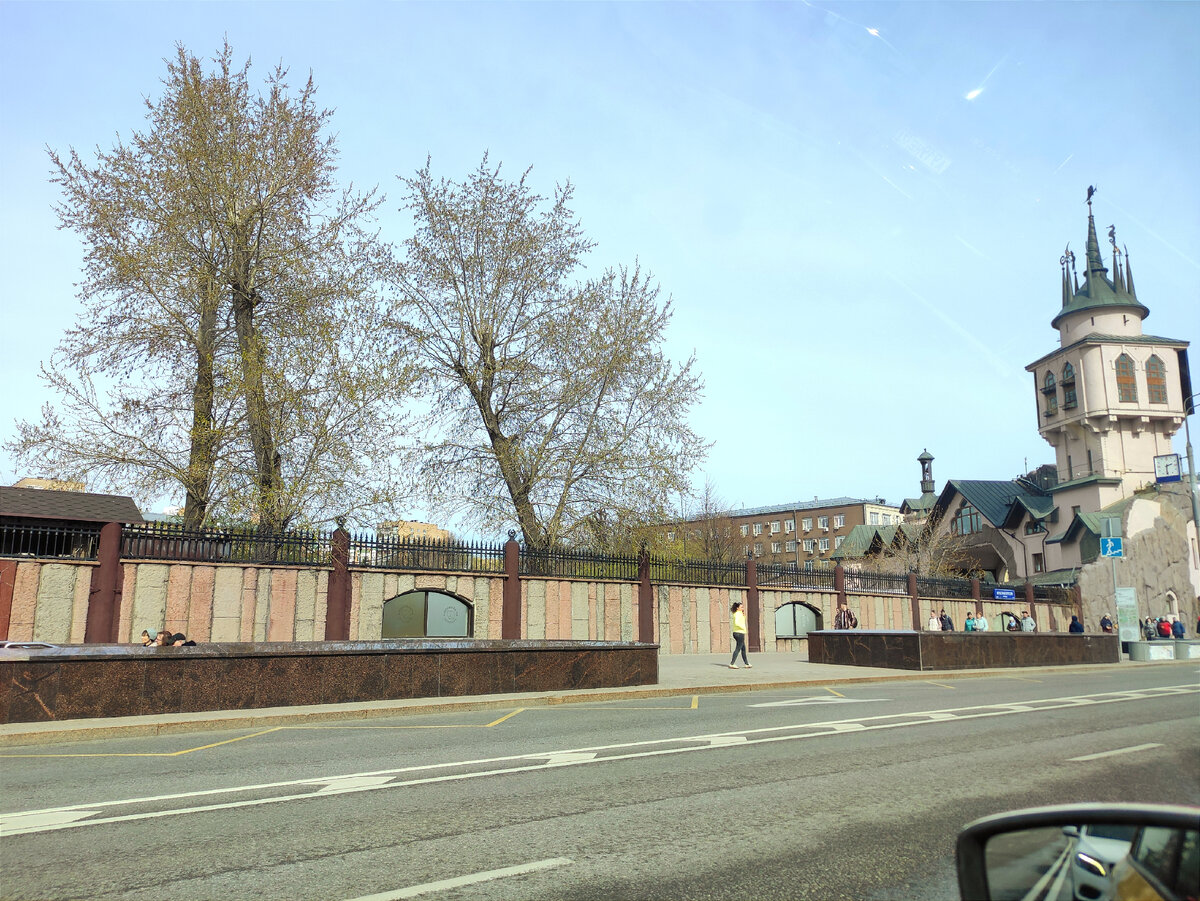 Деревья у зоопарка покрылись зелёной дымкой