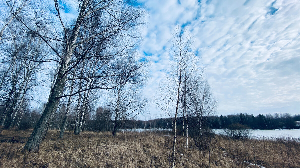 Тверская область