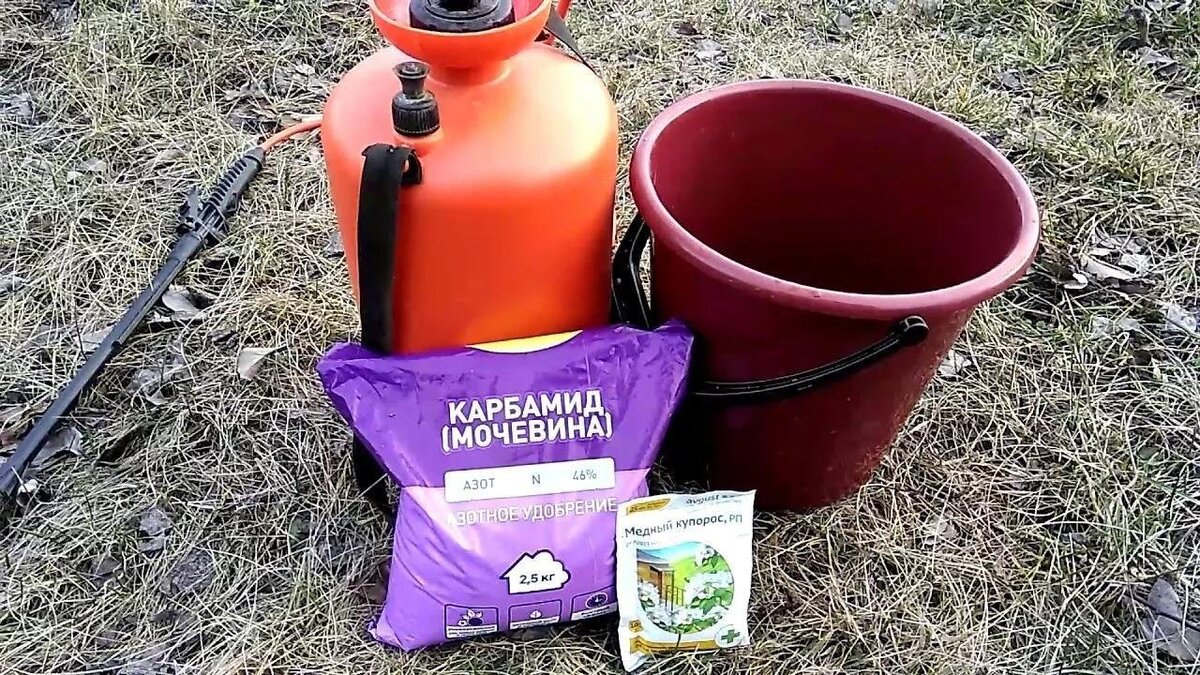 Весенние подкормки для плодовых деревьев и кустарников: стимулируем ...