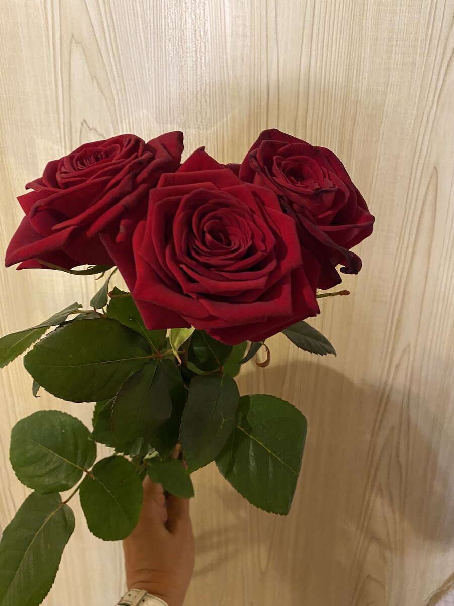 Это вам от меня.