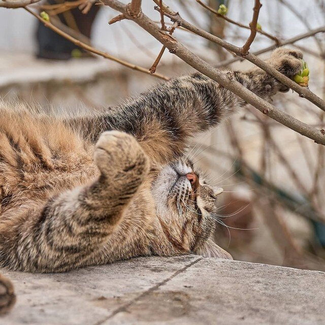 Источник: Яндекс картинки