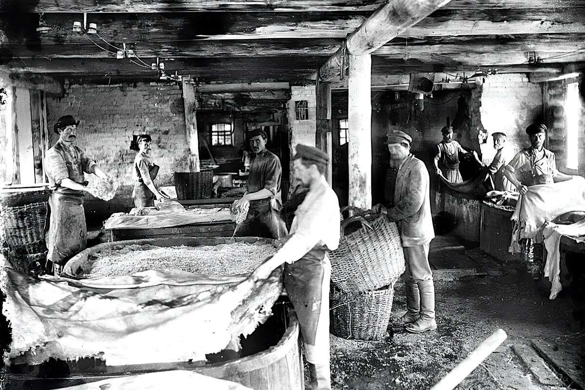 Кожевенный завод. Алтай