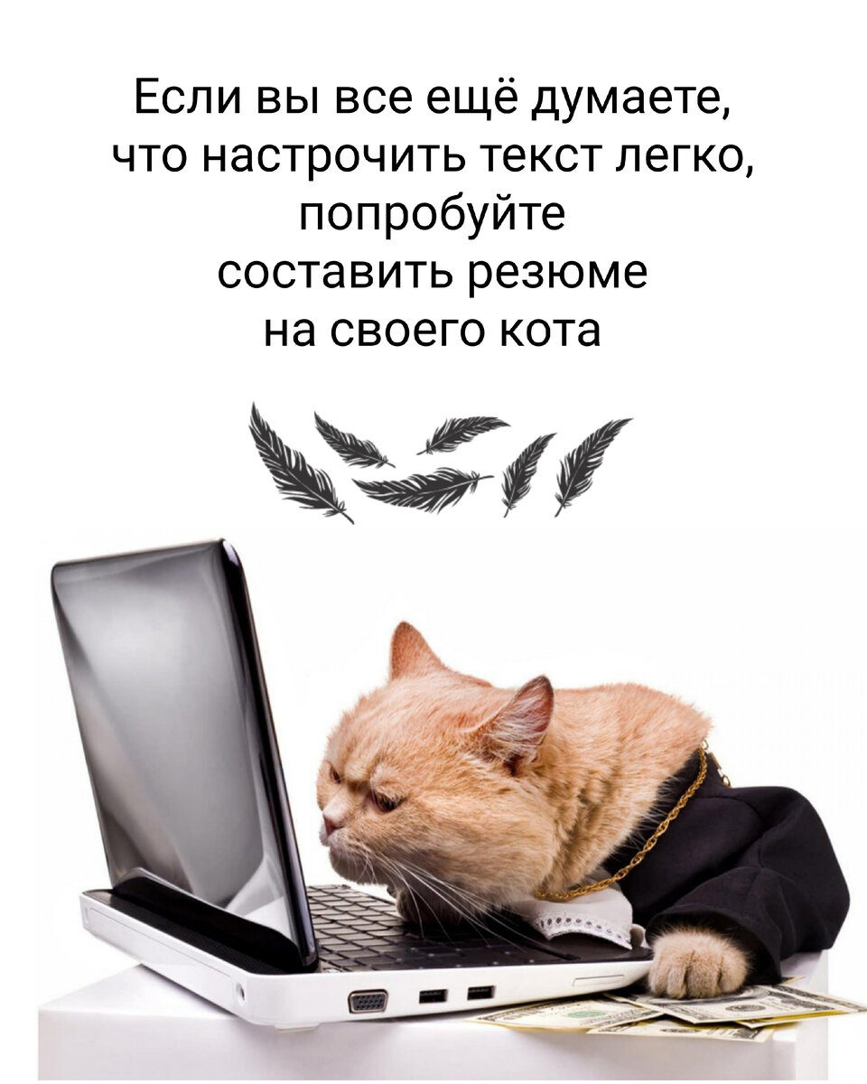 Если вы все еще думаете, что настрочить текст легко, попробуйте составить резюме на своего кота