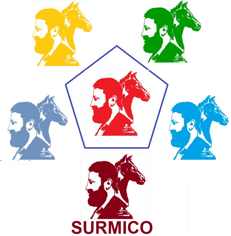 Иллюстрация автора (Surmico)