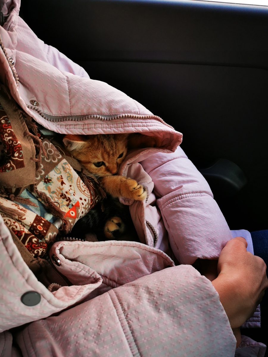 Едем в такси домой