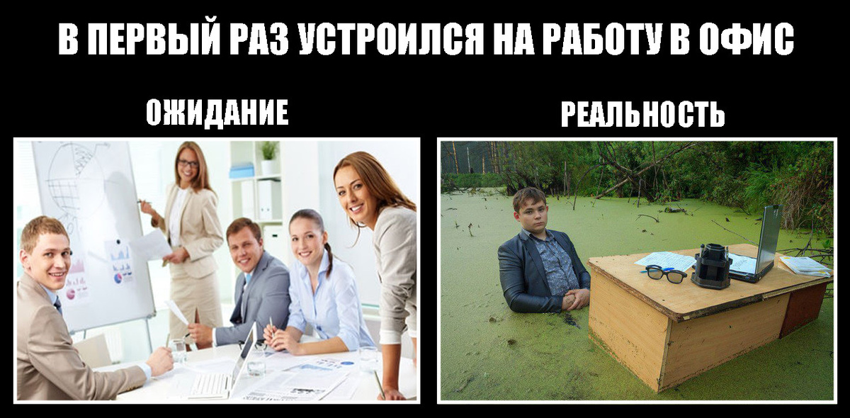 Картинка взята из открытых источников Яндекс.Картинки