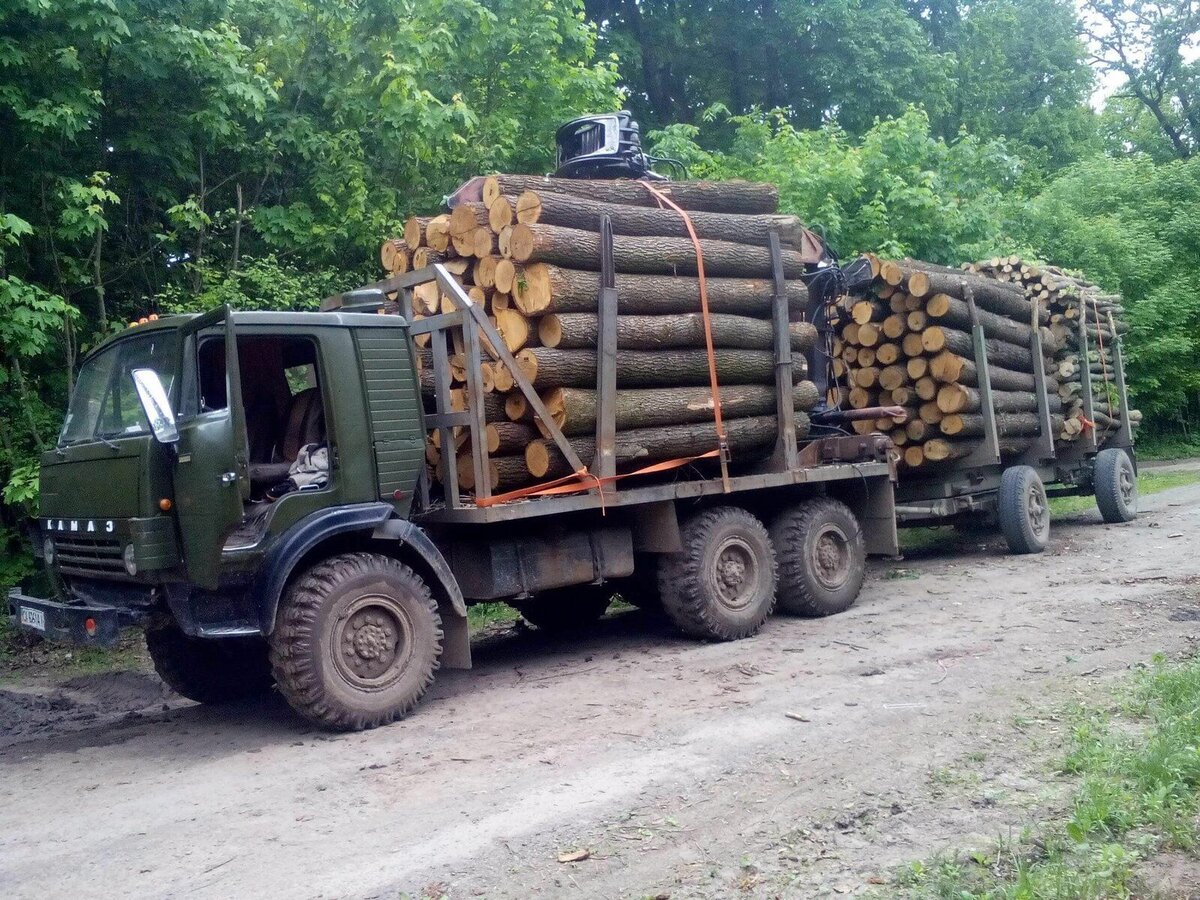 Урал лесовоз груженый