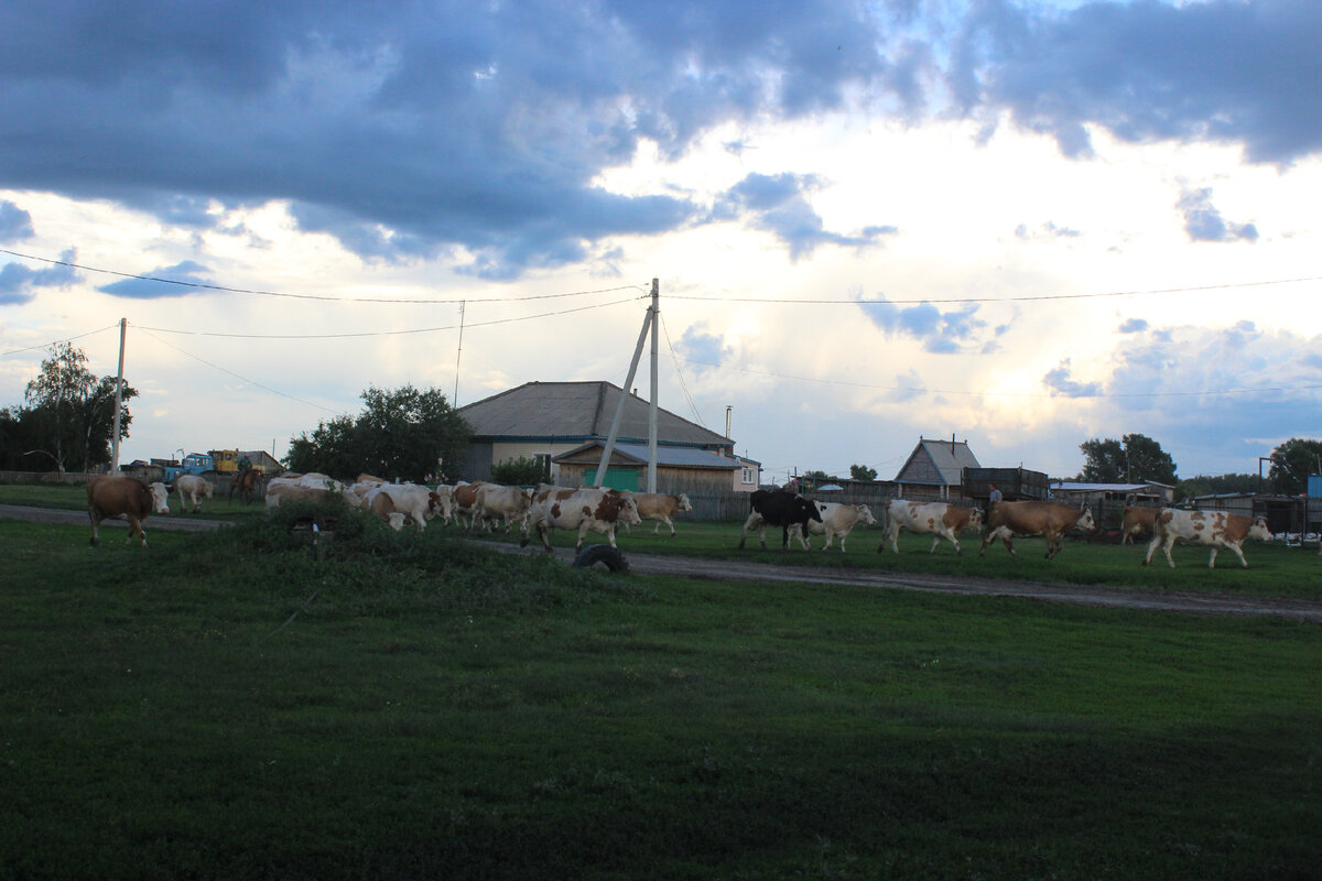 Вечер родного села...