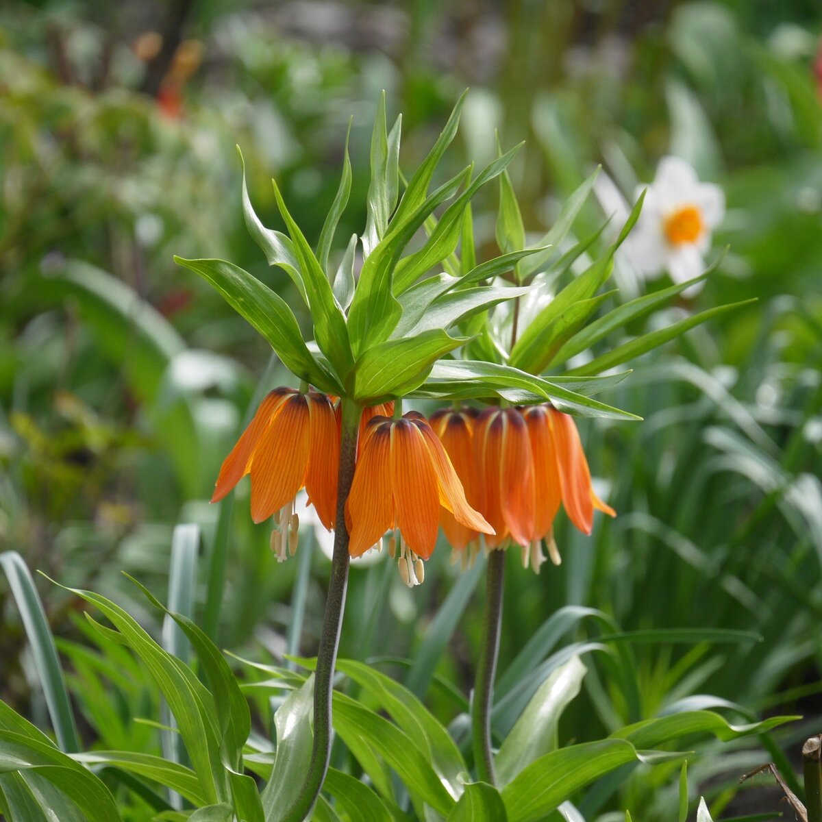 Фото из личного архива