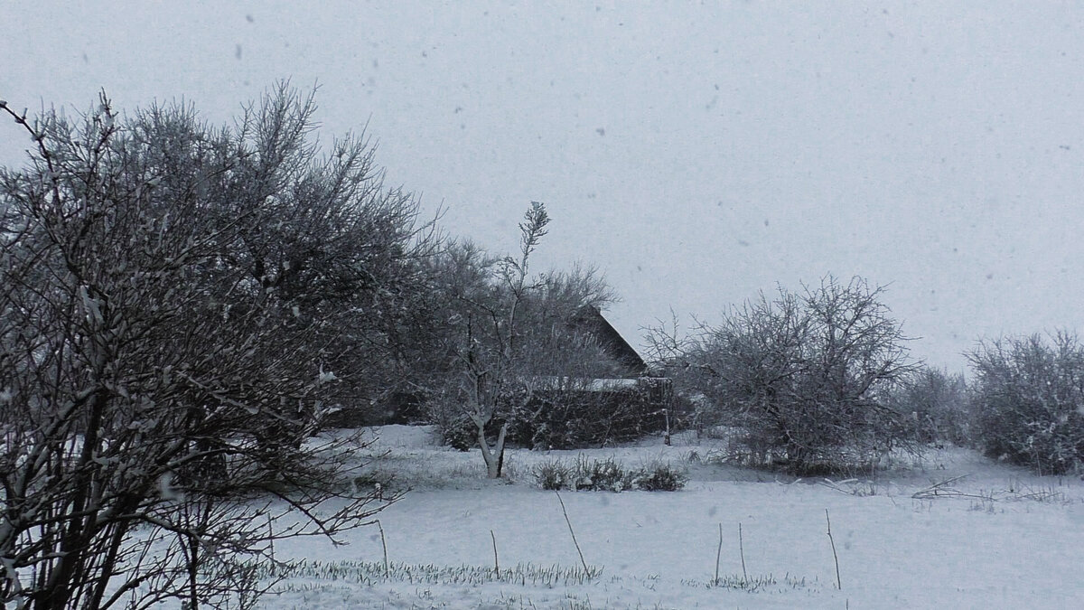 Начало снегопада