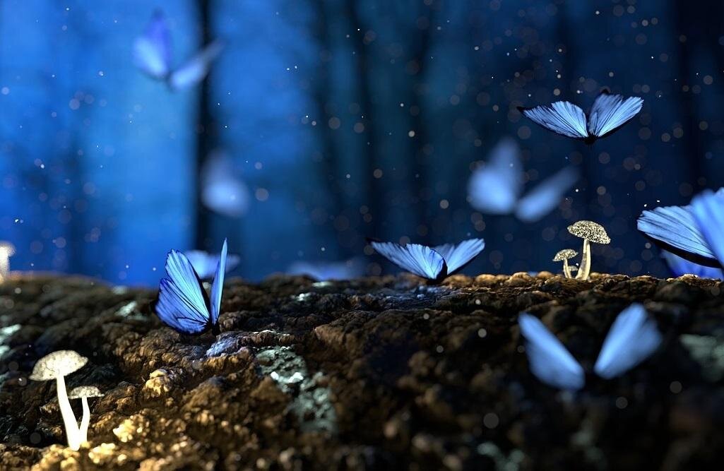 Взяла картинку отсюда, уж больно понравилась - https://rus-et.ru/istoriya-yazyka/etimologiya/etimologiya-slova-babochka/