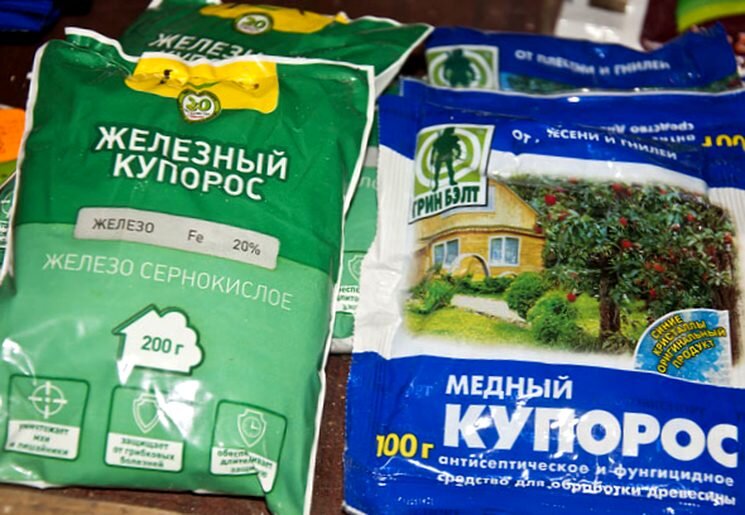 Картинка с сайта sveklon.ru