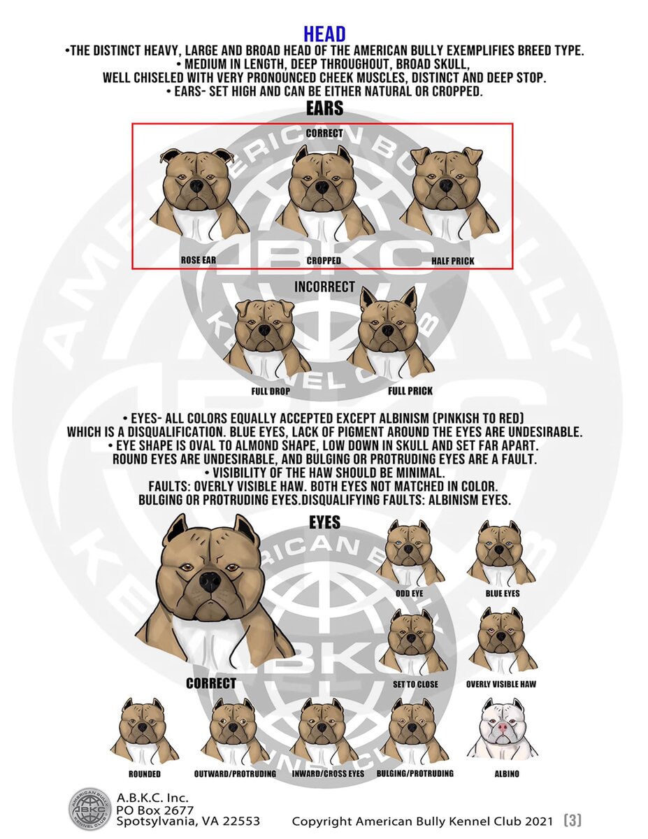 Голова и глаза