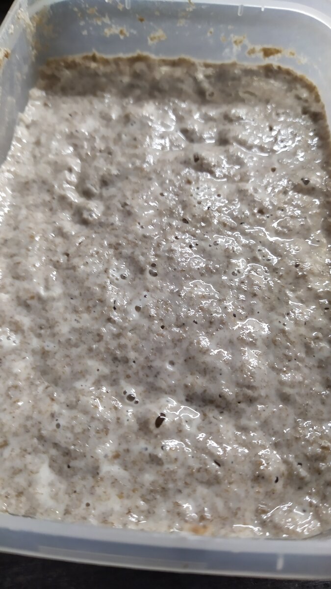 Активированная закваска